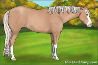 Horse Color:Silver Classic Champagne Splash 
