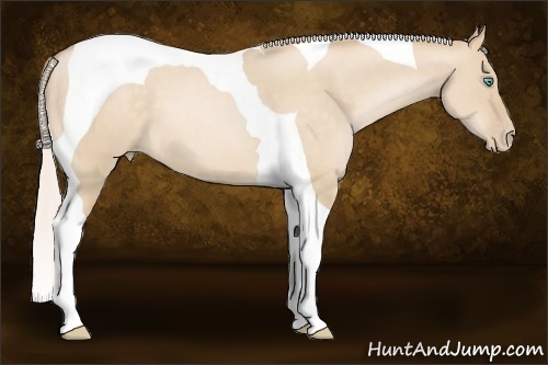 Horse Color:Silver Buckskin Pearl Dun Tobiano