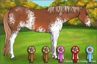 Horse Color:White Spotted Liver Chestnut 