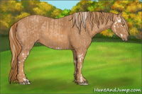 Horse Color:Silver Classic Champagne Splash  Brindle