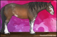 Horse Color:Brown Sabino