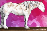 Horse Color:Bay Sabino 