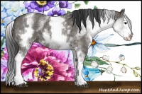 Horse Color:White Spotted Grullo Splash 