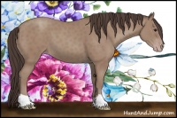 Horse Color:Classic Champagne 