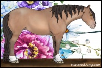 Horse Color:Amber Champagne 