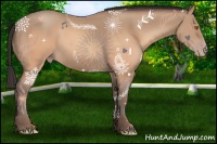 Horse Color:Sable Champagne 