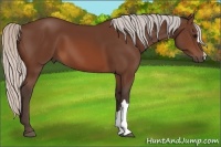Horse Color:Silver Brown 