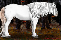 Horse Color:Liver Chestnut Snowcap 