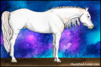 Horse Color:Silver Classic Champagne Ice Dun Splash Tobiano Frame Blanket 