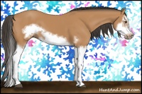 Horse Color:Bay Splash Frame 