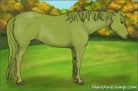 Horse Color:Watercolor Chestnut 