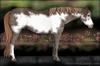 Horse Color:Liver Chestnut Frame 