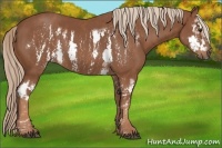 Horse Color:Chestnut Splash Frame Brindle