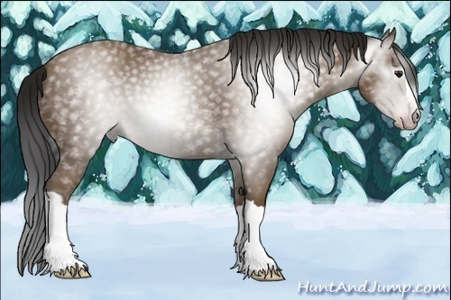 Horse Color:Gray Classic Champagne 