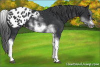 Horse Color:White Spotted Black Splash Tobiano Frame Blanket 