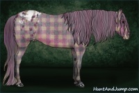 Horse Color:Plaid  Brown Blanket 