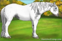 Horse Color:White Spotted Black Splash Tobiano Frame Blanket 