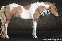 Horse Color:Liver Chestnut Pearl Tobiano 