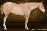 Horse Color:Liver Chestnut Pearl 