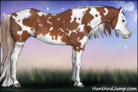 Horse Color:White Spotted Liver Chestnut Splash 
