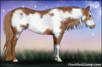 Horse Color:Liver Chestnut Frame 