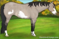 Horse Color:Brown Roan Dun Frame 