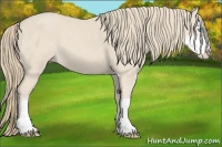 Horse Color:Smoky Creme Sabino