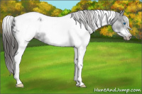 Horse Color:White Spotted Brown Splash Tobiano Frame Blanket 