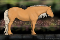 Horse Color:Chocolate Palomino 