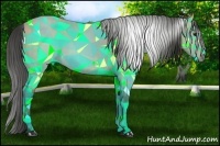 Horse Color:Gray Buckskin 