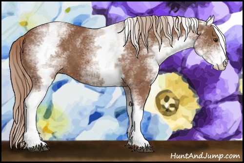 Horse Color: White Spotted Chestnut Sabino 