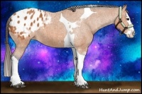 Horse Color:Bay Splash Tobiano Blanket Brindle