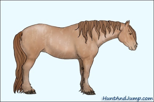 Horse Color: Brown Pearl Rabicano  Brindle