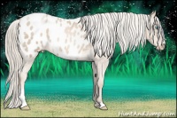 Horse Color:Chocolate Palomino Roan Pearl Sabino Blanket 