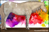 Horse Color:White Spotted Liver Chestnut Ice Pearl 