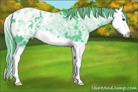 Horse Color:Watercolor Smoky Black Ice Splash Appaloosa