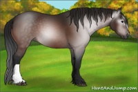Horse Color:Gray Brown 