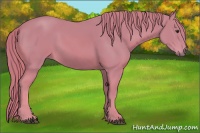 Horse Color:Watercolor Chestnut 