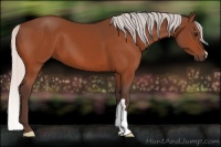 Horse Color:Silver Bay 