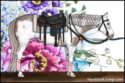 Horse Color: Silver Grullo Sabino Splash Frame 