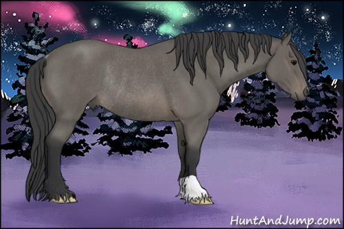 Horse Color: Brown Roan Rabicano 