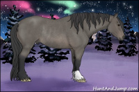 Horse Color:Brown Roan Rabicano