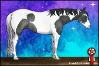 Horse Color:Brown Sabino Tobiano Rabicano