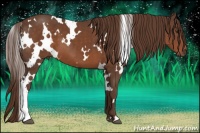 Horse Color:White Spotted Liver Chestnut 