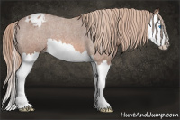 Horse Color:Liver Red Roan Splash Appaloosa 