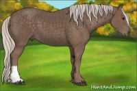 Horse Color:Silver Black 