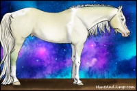 Horse Color:Gray Watercolor Silver Amber Champagne Dun Splash Tobiano Varnish Rabicano 