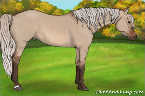 Horse Color: Silver Bay Dun 