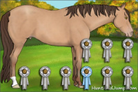 Horse Color:Amber Champagne 