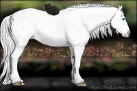 Horse Color:Perlino Splash 